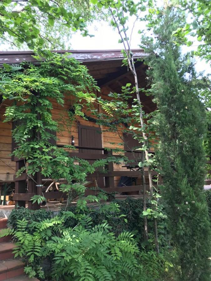 Etna Baite Chalet *